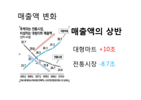[경제학] 대기업의 골목상권 침입 문제점과 해결방안-12