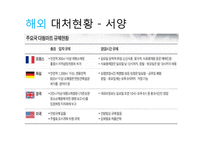 [경제학] 대기업의 골목상권 침입 문제점과 해결방안-17