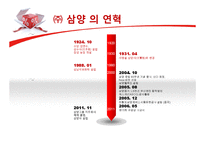 [경영학] 삼양사의 경영전략-6