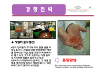 [국제경영] MarineHarvest 경영 전략-11