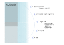 [거시조직론] 네트워크 조직 사례 분석-2