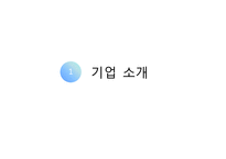 [국제경영] 제로 투 세븐의 인도 진출 사례-3