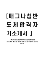 [매그나칩반도체오퍼레이터합격자기소개서]합격 자기소개서, 매그나칩 반도체 합격 자소서, 합격 이력서, 합격 예문-1