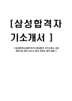 [삼성엔지니어합격자기소개서]합격 자기소개서, 삼성 엔지니어 합격 자소서, 합격 이력서, 합격 예문-1