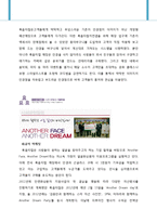 룩옵티컬 마케팅SWOT,STP,4P전략분석및 새로운 마케팅전략도출보고서-11