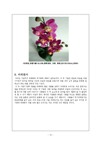 괴기화와 희화화-16