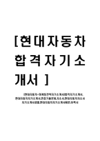 [현대자동차-마케팅전략자기소개서]합격자기소개서, 현대자동차자기소개서,면접기출문제,자소서,현대자동차자소서자기소개서샘플,현대자동차자기소개서예문-1
