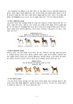 개에대한 상식 정리-신체구조와 습성, 행동과 심리-4