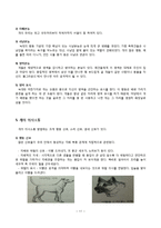 개에대한 상식 정리-신체구조와 습성, 행동과 심리-11