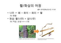 활, 화살의 역사와 현대사회에서의 역할-2