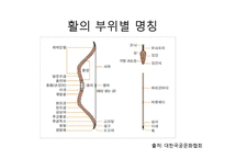 활, 화살의 역사와 현대사회에서의 역할-7