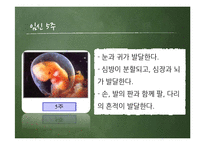 [간호학] 산부인과 간호과정-17