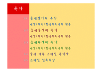[의상학] 중세시대의 복식과 스페인 민속의상 조사-2
