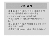 [서양미술사] 중세시대의 웨딩 드레스 전시 기획-10