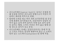 [서양미술사] 중세시대의 웨딩 드레스 전시 기획-15