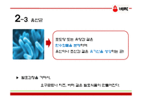 [식품공학] 발효유 제품 공정-6