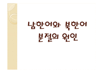 [언어학] 남한어와 북한어 장단점과 통일언어에 대한 고찰-3