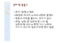 [언어학] 남한어와 북한어 장단점과 통일언어에 대한 고찰-11