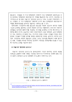 [행정학] 한국의 거버넌스 문제점과 대안 연구-13