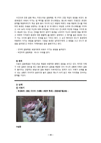 [청소년 교육] 아동, 청소년기의 형제간 의사소통 교육-10