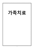 [사회복지] 다문화 가정 이주여성의 의사소통 문제 치료와 개입-1