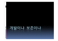환경개발과 보존에 대한 입장과 환경보호방안 고찰-1
