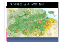환경개발과 보존에 대한 입장과 환경보호방안 고찰-16