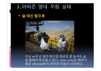 환경개발과 보존에 대한 입장과 환경보호방안 고찰-18