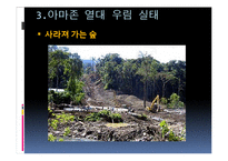 환경개발과 보존에 대한 입장과 환경보호방안 고찰-19