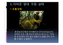 환경개발과 보존에 대한 입장과 환경보호방안 고찰-20