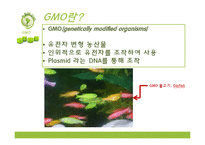 GMO의 문제점과 해결방안 및 인식 조사-3