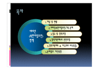 [사회복지] 한국, 독일의 새터민(북한이탈주민)정책 비교-2