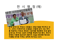[행정학] 한국 지방자치단체의 재정문제와 해결방안-12