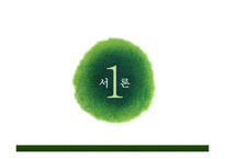 [사회복지] 사회복지협의회의 문제점 및 개선방안-3