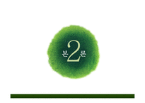 [사회복지] 사회복지협의회의 문제점 및 개선방안-5