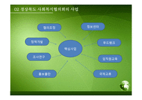 [사회복지] 사회복지협의회의 문제점 및 개선방안-12