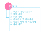 [심리학] 미누친의 구조적 가족 치료-3