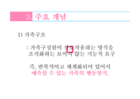 [심리학] 미누친의 구조적 가족 치료-18