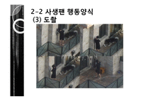 [사회학] 정보화 시대의 감시와 프라이버시 침해 사례 연구-15