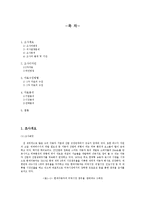 [마케팅] 현대자동차의 미국시장 성공 사례 분석-1