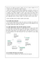 [조직론] 공기업 VS 사기업의 기업문화 차이 분석(1)-13
