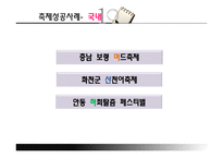 [관광학] 대구 약령시 축제 마케팅 성공사례-4