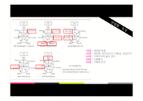 [경영학] 외식산업에서의 멀티브랜드 등장과 개선방향-CJ푸드빌 중심으로-5