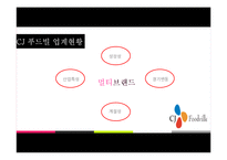 [경영학] 외식산업에서의 멀티브랜드 등장과 개선방향-CJ푸드빌 중심으로-13