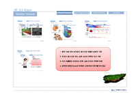 [마케팅] 삼다수 중국시장 진출 전략-8