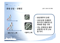 [관광학] 부산관광의 주요산업과 세계화 방안-10