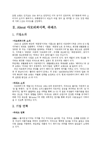 [국제경영] 라네즈 중국시장 진출 전략-4