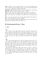 [국제경영] 라네즈 중국시장 진출 전략-5