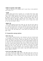 [국제경영] 라네즈 중국시장 진출 전략-16
