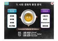 [국제경영] 카자흐스탄 정수기 사업 진출 제안-10